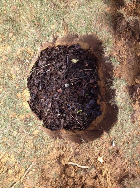 New hole filled with compost
