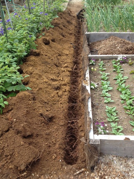 Running a single trench along the short edges creates access to each individual bed