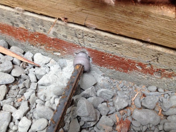A strong adhesive secures the new rebar to the existing foundation