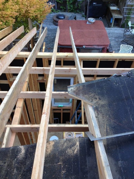 Sean did some neat work with the Sawsal to cut out a notch for this rightmost rafter