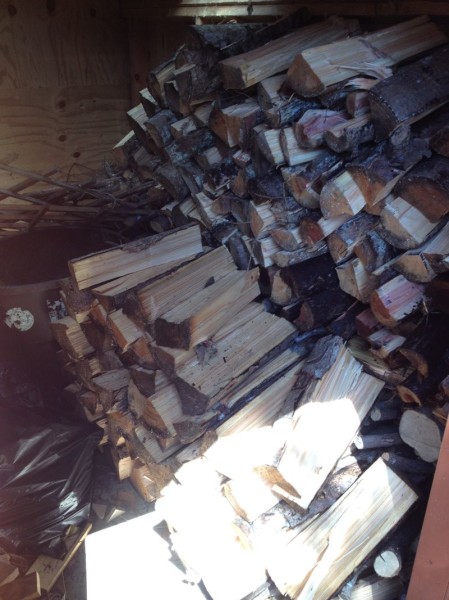 Wood stacked to dry