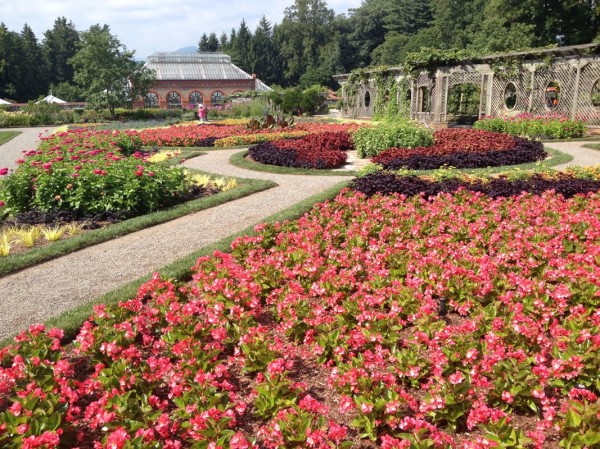 The gardens (conservatory in background)