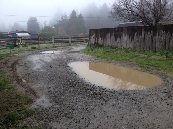 Potholes in front of barn