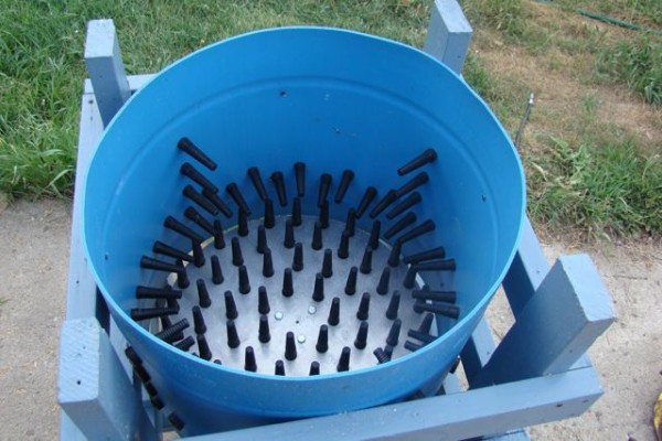 A typical wet plucker