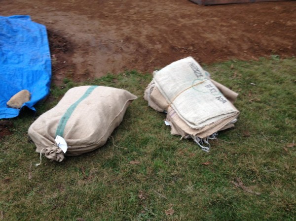 First bunch of burlap