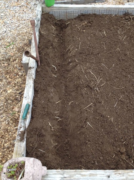 The first trench