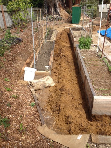 Running the water line along the edge of the beds allow for easy access