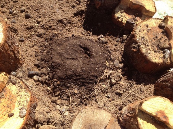 One mound by itself
