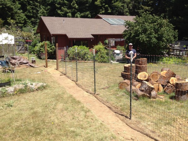 Running the first section of fence