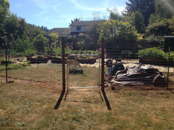 Entrance to the new garden