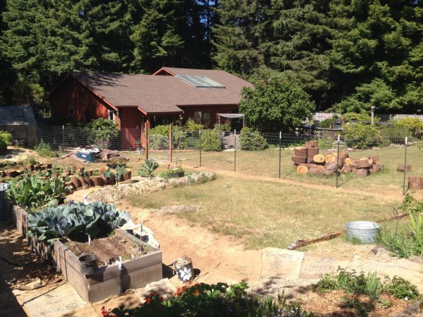 New fence, completed