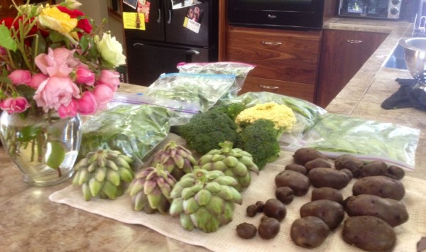 Quite a haul!