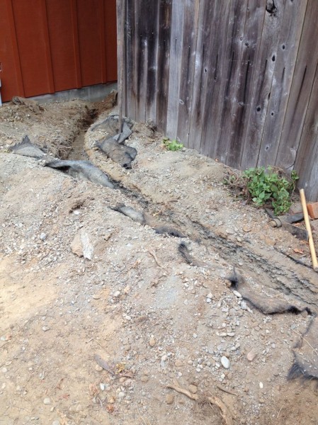 Trench complete