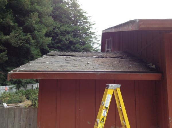 Prying these shingle layers off was quite a chore