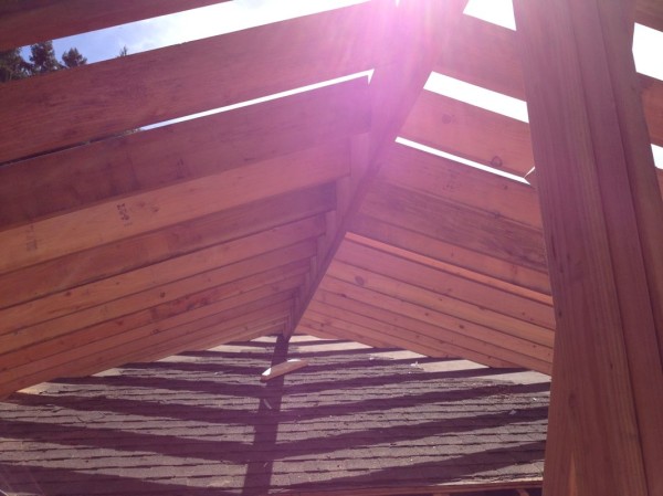Underside view