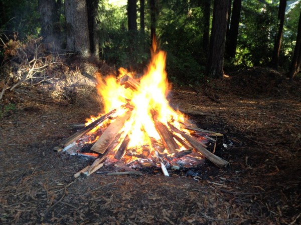 Monday's fire