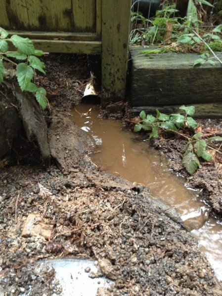 Drainpipe uncovered