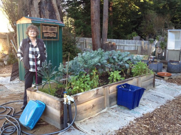 Ma with our winter kale bed
