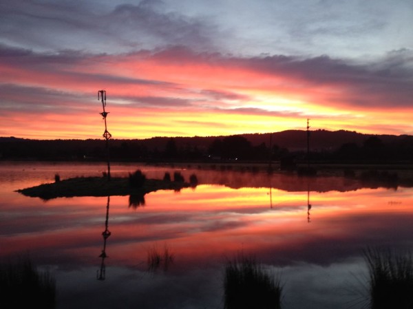 Sunrise at Tule Fog Farm