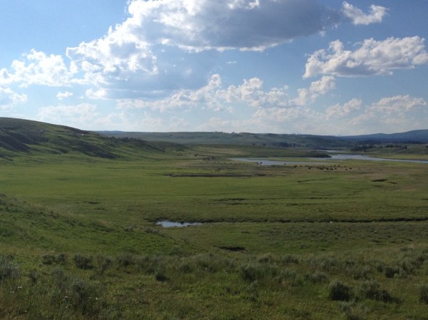 The Yellowstone River Valley