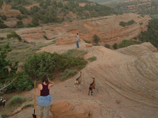 John, Jill, and their goats in Lander
