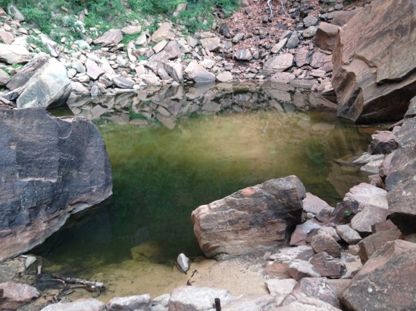 Zion National Park's Upper Emerald Pool