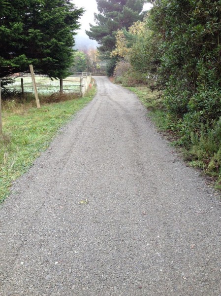 Road up toward barn
